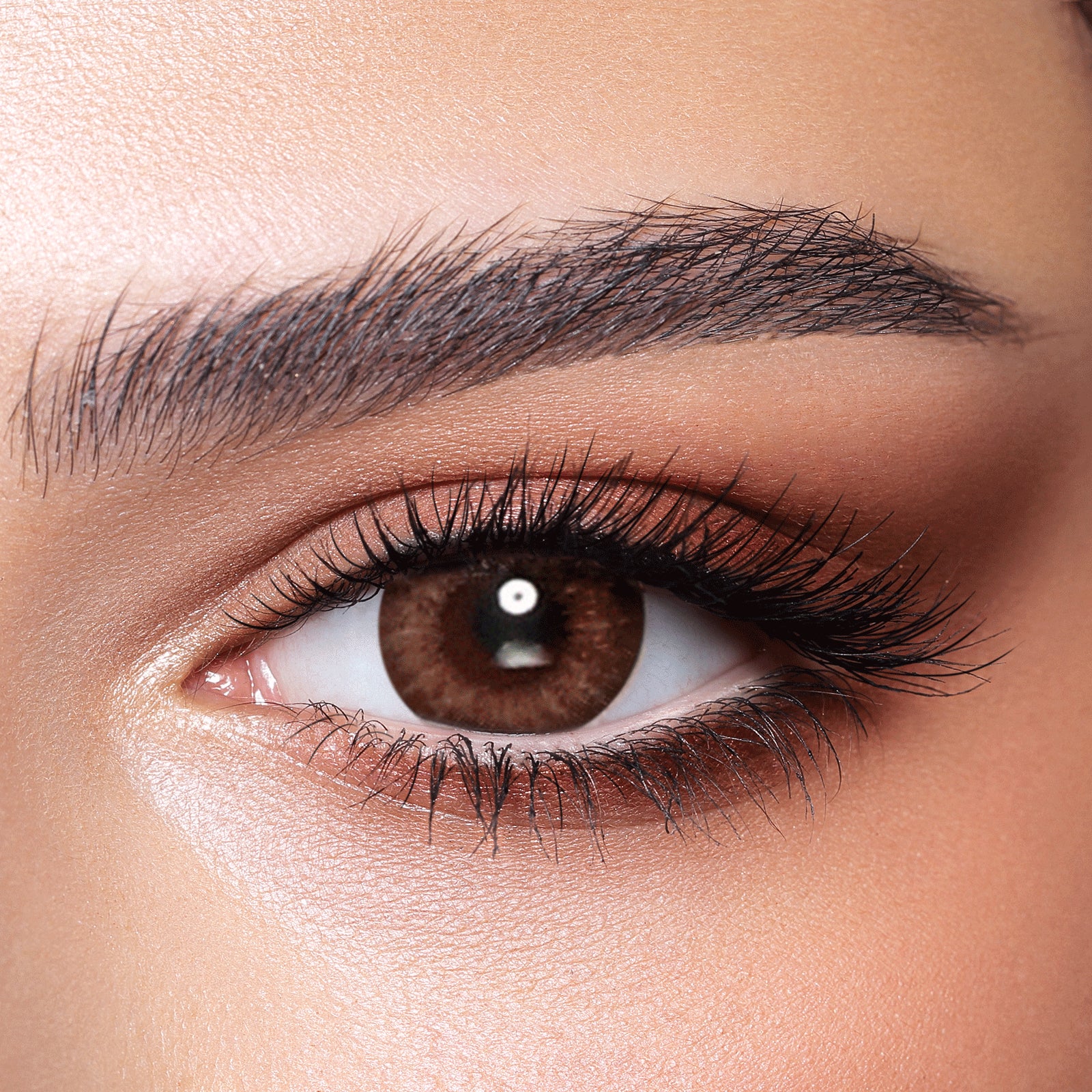ALMOND BROWN