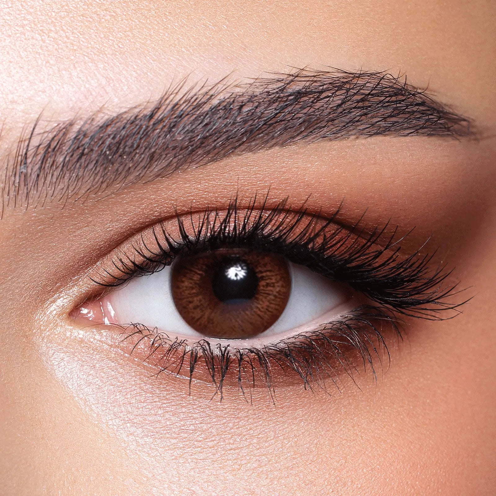 CINNAMON BROWN