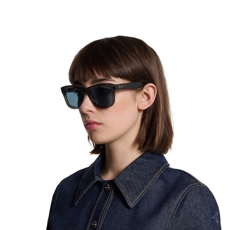 RayBan Retro Wayfarer - Smoke Blue
