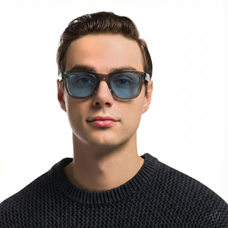RayBan Retro Wayfarer - Smoke Blue