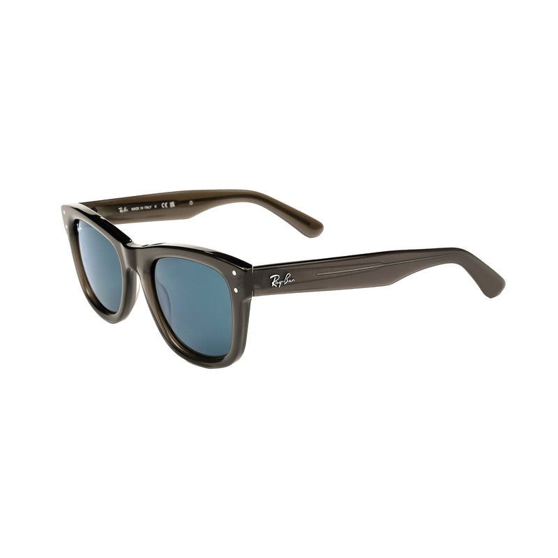 RayBan Retro Wayfarer - Smoke Blue