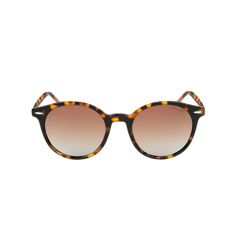 Carrera SunWave - Tortoise Bronze