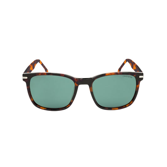 Carrera