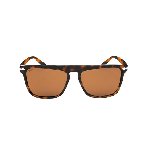 Persol SkyFrame - Tortoise Brown