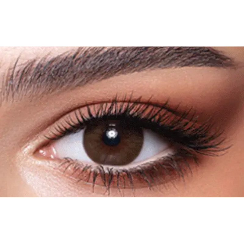 BROWN SHADOW - monthly - Bella